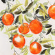 Миниатюра изображения товара Картина Bergenson Bjorn Juicy orange 70x100 / BB0000970
