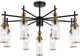 Миниатюра изображения товара Люстра Ambrella LH55258/9 BK/BS/CL (черный/латунь/прозрачный)