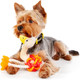 Миниатюра изображения товара Игрушка для собак ZooZooZoo Страус Мини 39027/ZZ (бежевый/оранжевый)