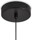 Миниатюра изображения товара Потолочный светильник Freya Acoustic FR5494PL-01TR
