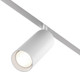 Миниатюра изображения товара Трековый светильник Maytoni Focus Led TR032-4-20WTW-M-DD2-W