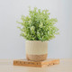 Миниатюра изображения товара Кашпо Mandarin Decor Рустика / P18C23102B-12milk (молочный)