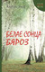 Миниатюра изображения товара Книга Издательство Беларусь Белае сонца бяроз, мягкая обложка (Зэкау Анатоль)