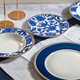 Миниатюра изображения товара Набор столовой посуды Fioretta Blue Flower TDS135 (16пр)