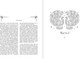 Миниатюра изображения товара Книга АСТ Две жизни. I-IV части, твердая обложка (Антарова Кора)