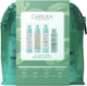 Миниатюра изображения товара Набор косметики для лица Carelika Skin Wellnes Kit CPSWKA