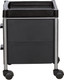 Миниатюра изображения товара Тележка парикмахерская Элеганс Алана-02 (черный)