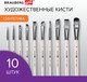 Миниатюра изображения товара Набор кистей Brauberg Art Debut / 201050 (10шт)