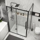 Миниатюра изображения товара Душевая стенка Grossman Cosmo 100х195 / 200.K33.02.100.21.00 (черный матовый/стекло прозрачное)