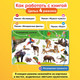 Миниатюра изображения товара Набор развивающих книг BertToys Нажималка. Я и мир вокруг. Животные