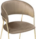 Миниатюра изображения товара Стул Woodville Kamelia / 15318 (cappuccino/gold)