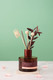 Миниатюра изображения товара Аромадиффузор Miniso Reed Diffuser Rose and Peony 5827 (200мл)