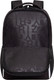 Миниатюра изображения товара Школьный рюкзак Grizzly RB-551-2 (черный)