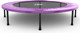 Миниатюра изображения товара Батут DFC Jump Sun 55INCH-JS-P