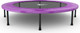 Миниатюра изображения товара Батут DFC Jump Sun 55INCH-JS-P