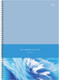 Миниатюра изображения товара Тетрадь BG Blue Art / ТТ4гр80_лг 64252 (80л)