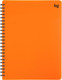 Миниатюра изображения товара Тетрадь BG Neon / Т4гр80_пл 08692 (80л, оранжевый)