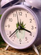 Миниатюра изображения товара Настольные часы ILikeGift Cactus Time / 860-3-04