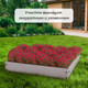 Миниатюра изображения товара Грядка модульная GREENGO Квадро 80x80x15см (серый)