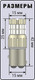 Миниатюра изображения товара Комплект автомобильных ламп Xenite 1009682 (2шт)