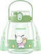 Миниатюра изображения товара Бутылка для воды Miniso Sanrio Characters 2530