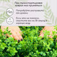 Миниатюра изображения товара Искусственное растение GREENGO 8-ми листник 60x40см