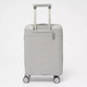 Миниатюра изображения товара Чемодан на колесах Francesco Molinary 344-012/2-20SLV (серебристый)