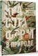 Миниатюра изображения товара Книга АСТ Красота форм в природе. Альбом старинных иллюстраций (Геккель Эрнст, мягкая обложка)