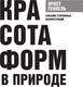 Миниатюра изображения товара Книга АСТ Красота форм в природе. Альбом старинных иллюстраций (Геккель Эрнст, мягкая обложка)