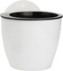 Миниатюра изображения товара Кашпо BOTANICA Настенное11x10.5см с автополивом (белый)