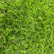 Миниатюра изображения товара Искусственная трава GRASS MIX 20 (1x2м)