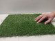 Миниатюра изображения товара Искусственная трава GRASS MIX 20 (1x2м)