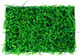 Миниатюра изображения товара Искусственное растение GREENGO Самшит. Папоротник 40x60см