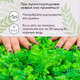 Миниатюра изображения товара Искусственное растение GREENGO Самшит. Папоротник 40x60см