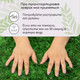 Миниатюра изображения товара Искусственное растение GREENGO Аспарагус 60x40см