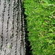 Миниатюра изображения товара Искусственная трава GRASS MIX 18 (1x2м)