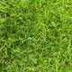 Миниатюра изображения товара Искусственная трава GRASS MIX 18 (1x2м)