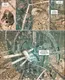 Миниатюра изображения товара Комикс Комильфо Финальный Инкал (Ходоровски А. 9785042122248)