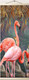 Миниатюра изображения товара Картина по номерам Молли Розовый фламинго 35x88 / HRP0015