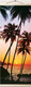 Миниатюра изображения товара Картина по номерам Молли Пальмы на закате 35x88 / HRP0018