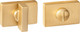 Миниатюра изображения товара Фиксатор дверной защелки Ренц INBK 01 SSG (золото матовое сатинированное)