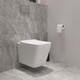 Миниатюра изображения товара Унитаз подвесной с инсталляцией Lauter Square 214903 + GROHE Rapid SL 38721001 (овальная, хром)