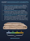 Миниатюра изображения товара Одеяло Реноме 2сп Обними Утяжеленное хлопок 14/502Беж 172x205 (бежевый)