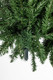 Миниатюра изображения товара Ель искусственная Winter Fun Drop 210 / 24801