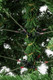 Миниатюра изображения товара Ель искусственная Winter Fun Light 150 / 24801-150CM LED