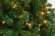 Миниатюра изображения товара Ель искусственная Winter Fun Light 180 / 24801-180CM LED