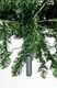 Миниатюра изображения товара Ель искусственная Winter Fun Light 270 / 24801-270CM LED