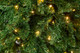 Миниатюра изображения товара Ель искусственная Winter Fun Light 270 / 24821-270CM LED