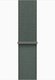 Миниатюра изображения товара Умные часы Apple Watch SE GPS 44mm / MXEW3 (звездный свет, зеленый плетеный ремешок)