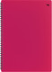 Миниатюра изображения товара Тетрадь BG Neon / Т4гр80_пл 08693 (80л, розовый)